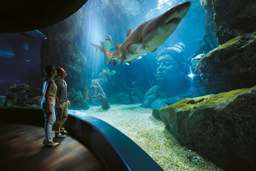 Bangkok: SEA LIFE Bangkok Ocean World Entry Ticket - Start with the major underwater views