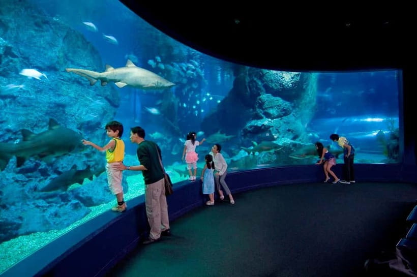 Bangkok: SEA LIFE Bangkok Ocean World Entry Ticket - Coral Reef brings color and movement