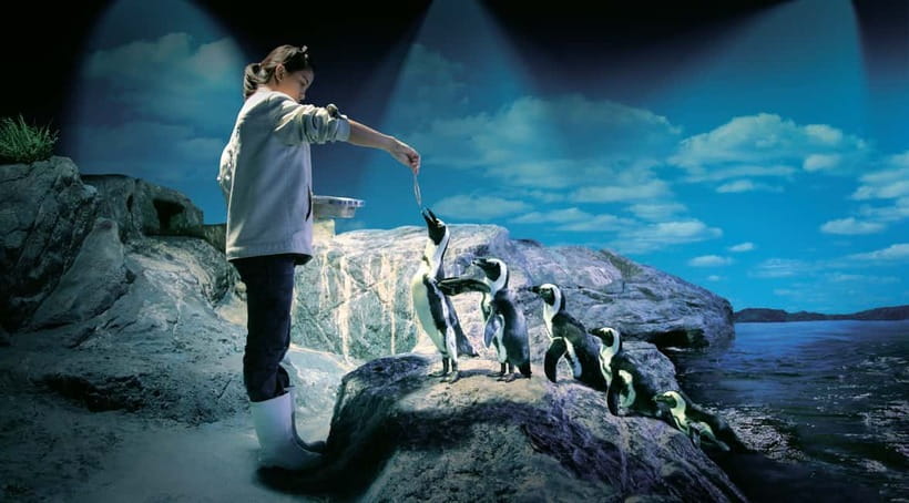 Bangkok: SEA LIFE Bangkok Ocean World Entry Ticket - What the $31 ticket actually gives you