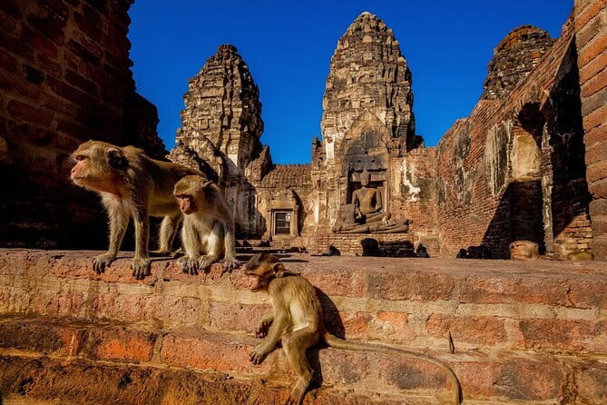 Bangkok to Ayutthaya Lopburi Monkey Temple, Largest Buddha Tour - Key points to know before booking