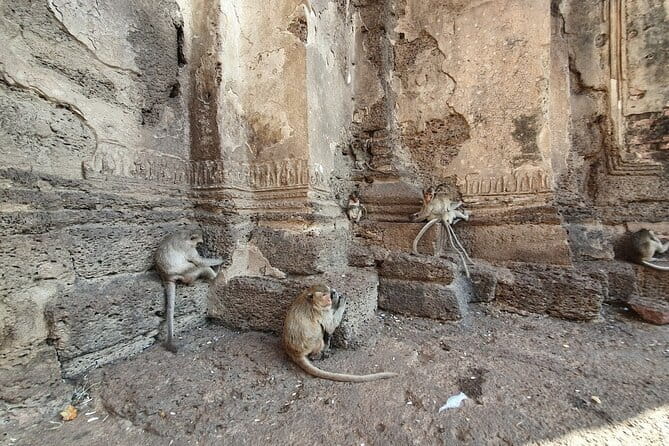 Bangkok to Ayutthaya Lopburi Monkey Temple, Largest Buddha Tour - Wat Muang and Thailand’s giant seated Buddha