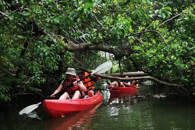 Bangkok Tour by Boat and Bike - Paddling the Bangkok canals