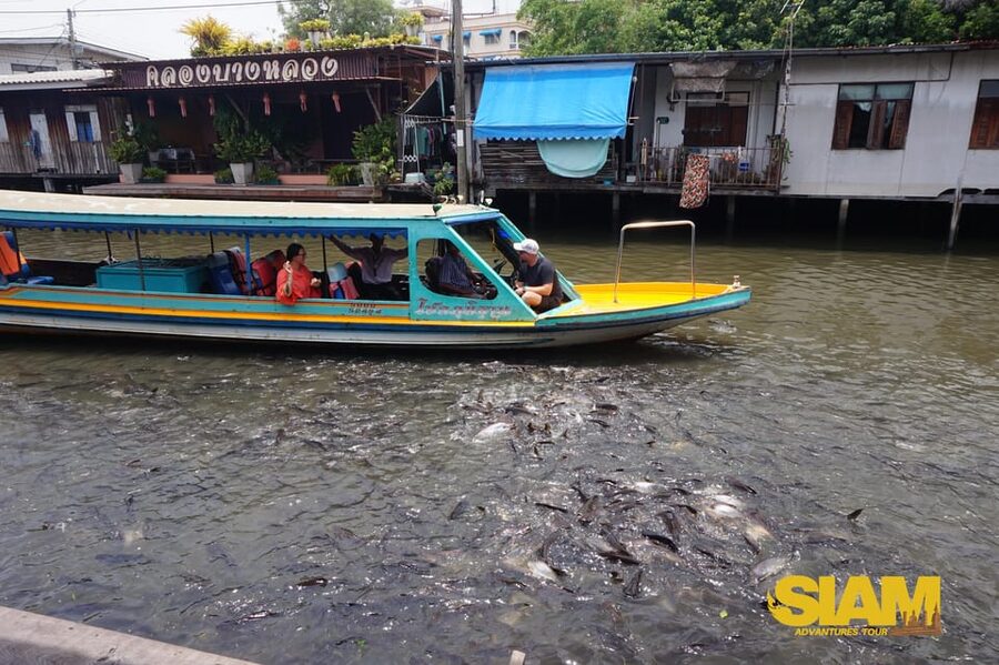 Bangkok Yai Local Canal Tour with Longtail Boat - Should you book the Bangkok Yai canal tour?