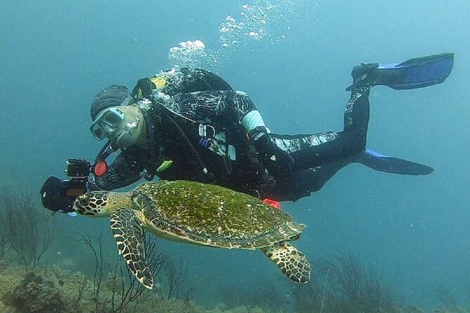 Become certified diver in 3 days - PADI Open Water Diver course on Koh Tao - Day one: reading, equipment, and shallow-water skills