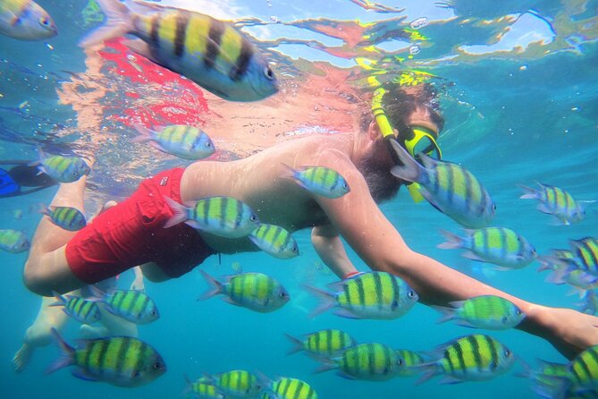 Best of Phi Phi Islands Snorkeling Tour from Phuket - Pileh Bay is the day’s most dramatic swim