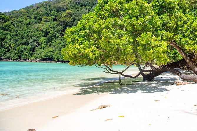 Best Seller - Surin Islands Snorkeling Trip from Khao Lak - Lunch, fruit, and a full afternoon in the park