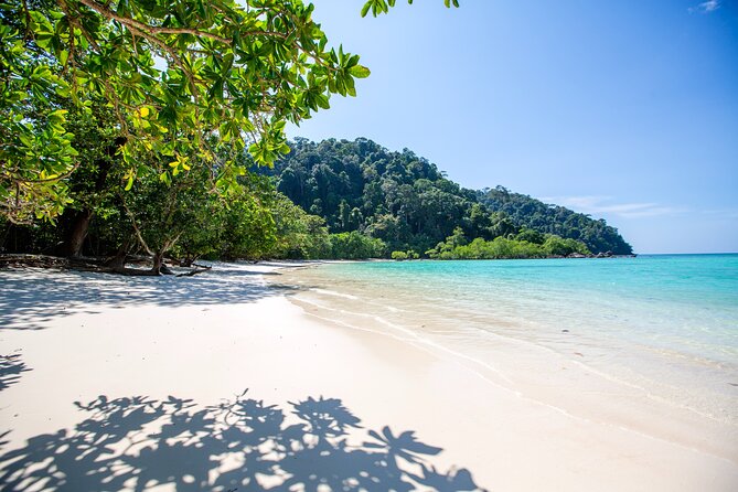 Best Seller - Surin Islands Snorkeling Trip from Khao Lak - How the group size changes the experience