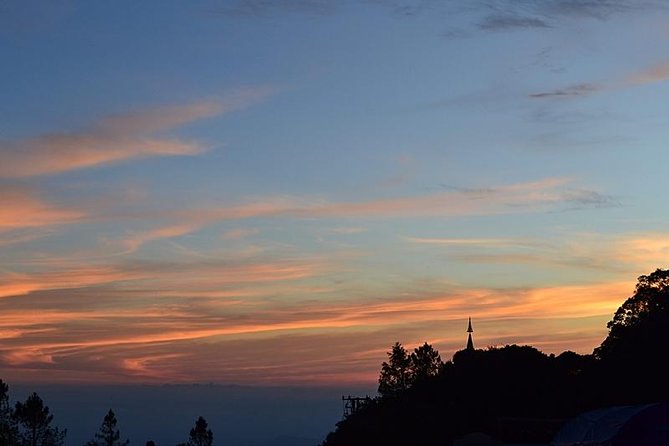 Bird Watching Doi Inthanon - Birding from the middle slopes to the summit