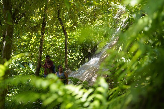 Bua Tong Waterfall Adventure& Huge Cave included Thai Buffet Tour - Lunch, Snacks, and the Value of a $34 Tour