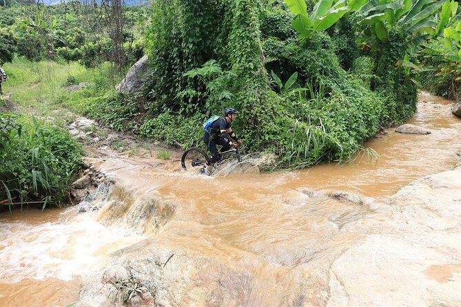 Buffalo Soldier Full Day Mountain Biking Tour Chiang Mai - A trail-side lunch at noon