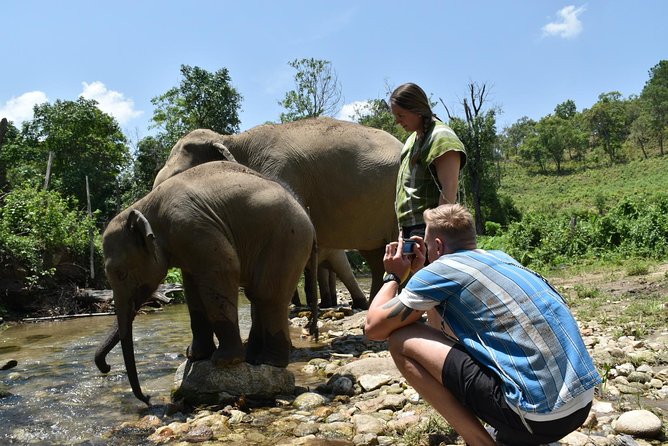 Care Pride Elephants: Full-Day Tour Experience - Thai lunch in the mountain setting