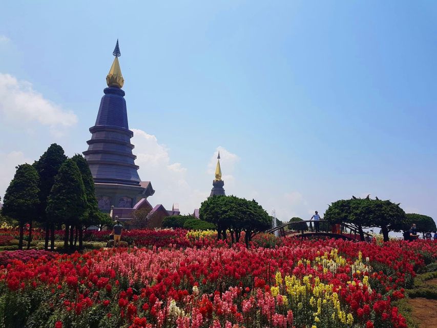 Chang Mai: Doi Inthanon Day Tour w/Waterfalls & Hilltribes - White Karen coffee and a useful local connection