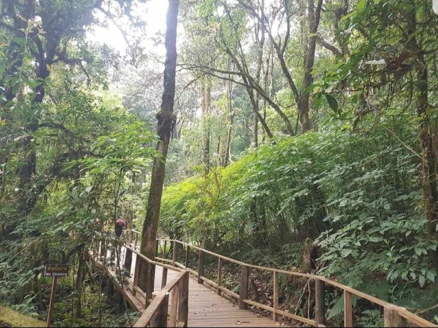 Chang Mai: Doi Inthanon Day Tour w/Waterfalls & Hilltribes - Reaching Thailand’s highest peak at 2,565 meters