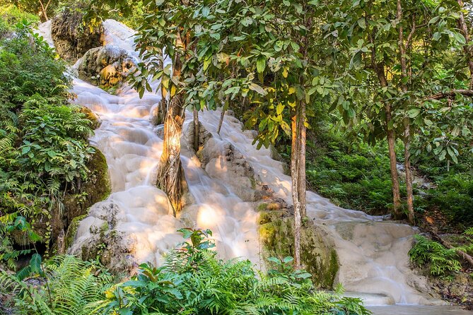 Chiang Dao Cave Trekking Small Group Tour – Full Day - Why This Chiang Mai Day Trip Feels Different