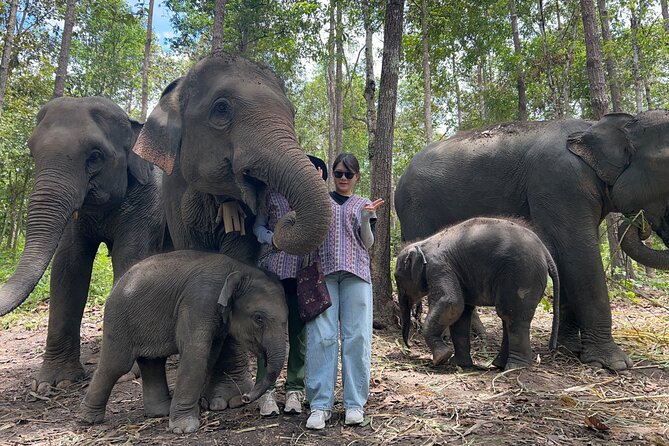Chiang Mai 1 Day: Elephant Sanctuary, Waterfall & Bamboo Rafting - Mae Saphok Waterfall and lunch beside the water