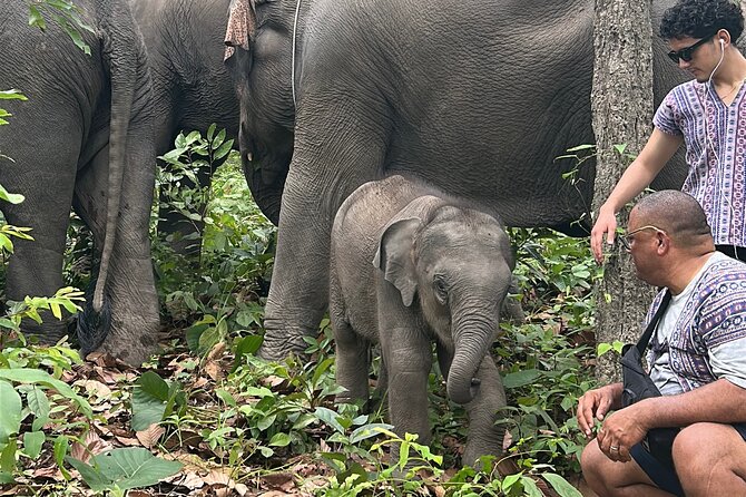 Chiang Mai 1 Day: Elephant Sanctuary, Waterfall & Bamboo Rafting - What the $77.99 price really covers