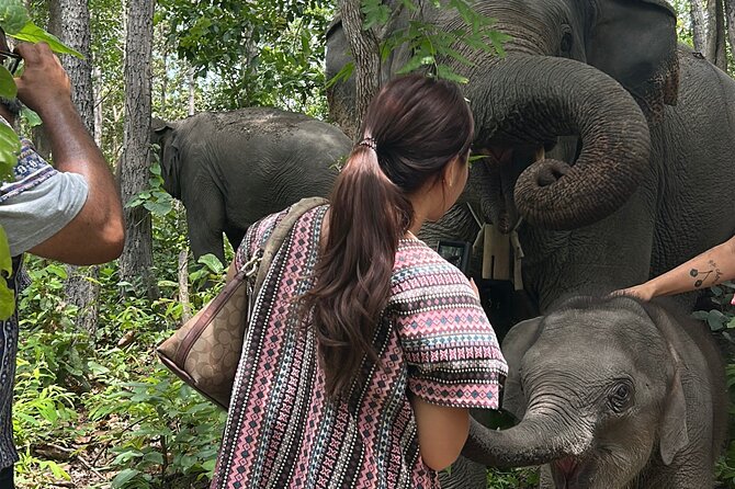Chiang Mai 1 Day: Elephant Sanctuary, Waterfall & Bamboo Rafting - Who should book this day