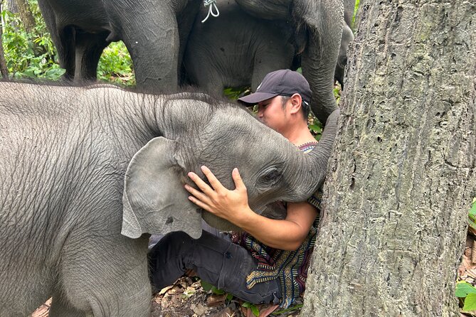 Chiang Mai 1 Day: Elephant Sanctuary, Waterfall & Bamboo Rafting - Meeting the Karen guides and elephants