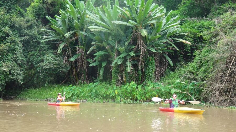 Chiang Mai: 15 km Leisure River Kayaking at Mae Ngat forest - Lunch at Mango Plantation Restaurant