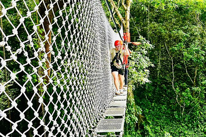 Chiang Mai 3 in 1 Zipline, Elephants and Sticky Waterfall - Feeding rescued elephants under supervision