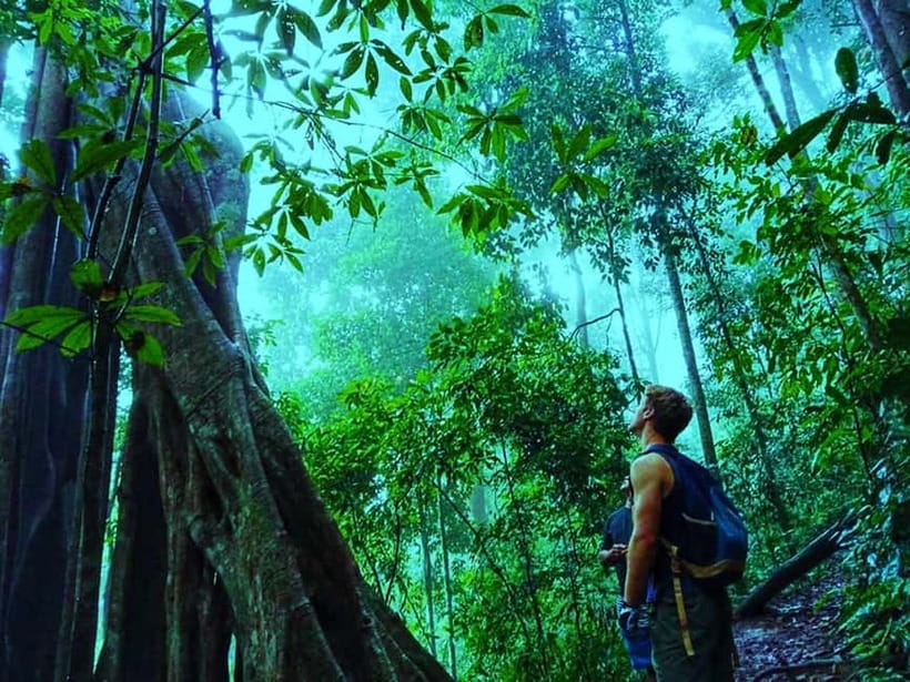 Chiang Mai: 7-Hour Doi Suthep National Park Summit Hiking - Who should book this hike?