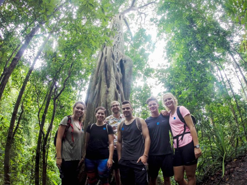 Chiang Mai: 7-Hour Doi Suthep National Park Summit Hiking - Wat Phra That Doi Suthep and the famous view