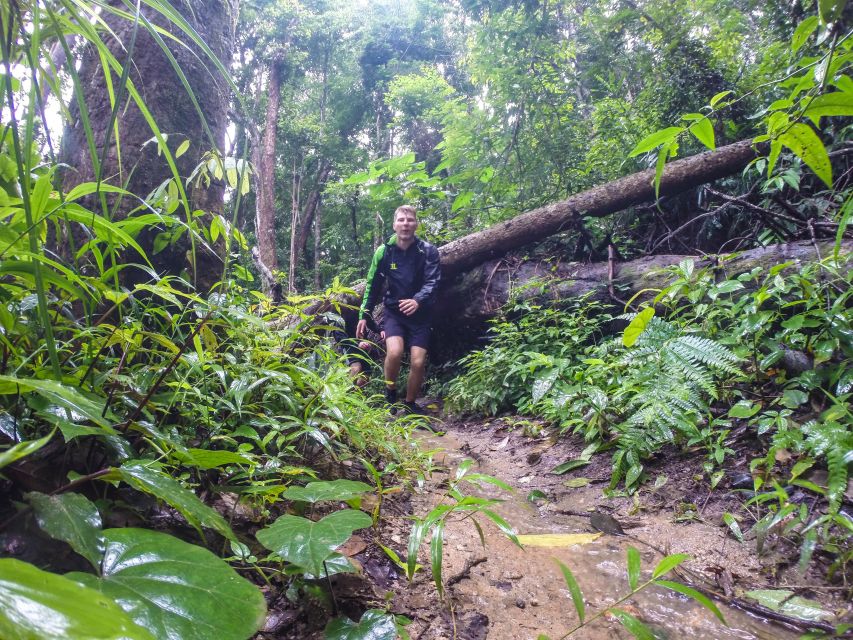 Chiang Mai: 7-Hour Doi Suthep National Park Summit Hiking - Two and a half hours through Doi Suthep-Pui National Park