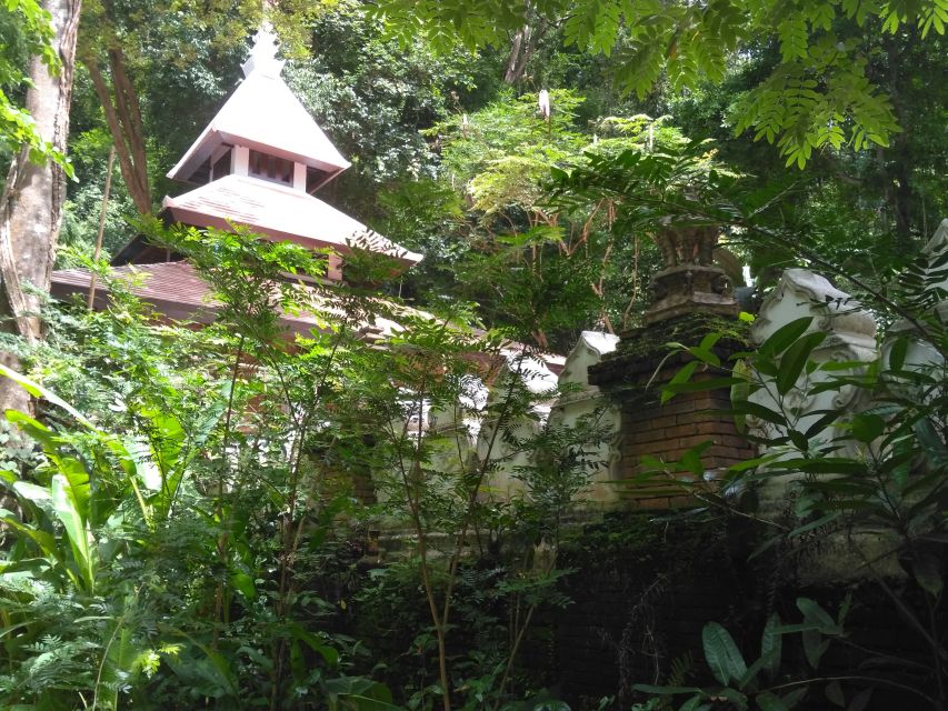 Chiang Mai: 7-Hour Doi Suthep National Park Summit Hiking - Doi Pui and the Hmong village