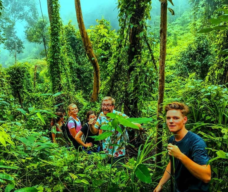 Chiang Mai: 7-Hour Doi Suthep National Park Summit Hiking - Lunch, water, and the late-day return