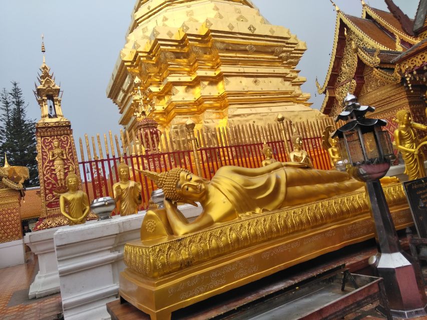 Chiang Mai: 7-Hour Doi Suthep National Park Summit Hiking - What the guides add to the day