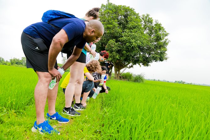 Chiang Mai Active E-bike Countryside Ride - Royal Park Rajapruek is the final pause