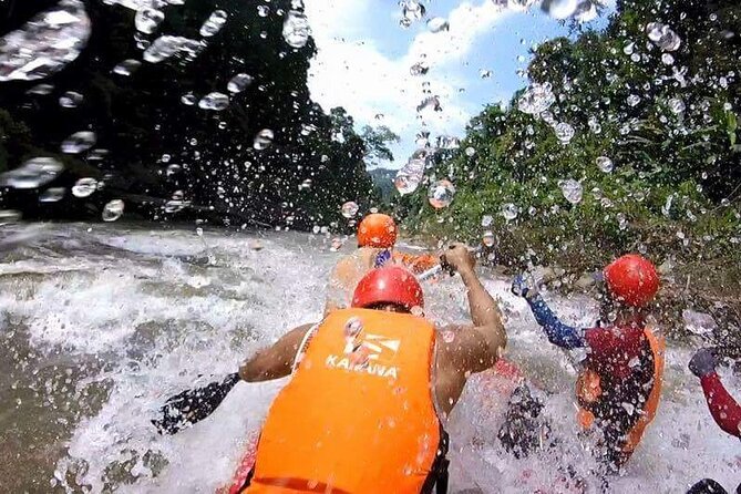 Chiang Mai ATV White Water Rafting and Elephant Sanctuary Full-Day Trip - Is $138.75 a fair price?