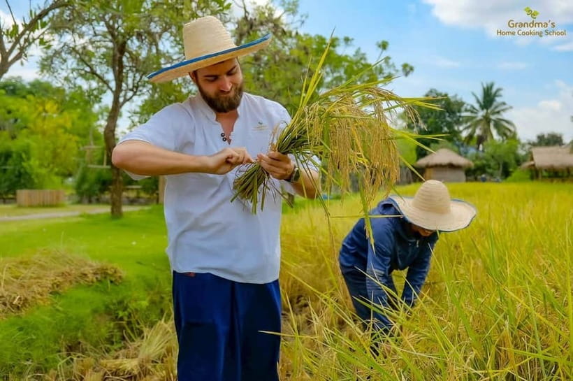 Chiang Mai: Authentic Cooking Class with Market & Farm Visit - Is $34 good value?