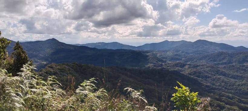 Chiang Mai Authentic Trekking - A real mountain walk south of Chiang Mai
