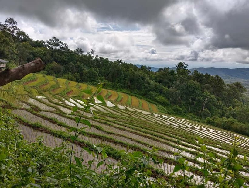 Chiang Mai Authentic Trekking - The climb to Phalai Mountain