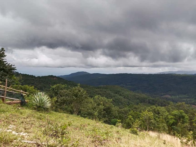 Chiang Mai Authentic Trekking - The summit views and forest lunch