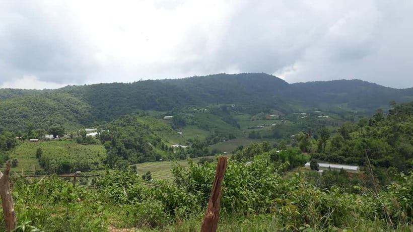 Chiang Mai Authentic Trekking - Farms, crops, and the Karen way of working