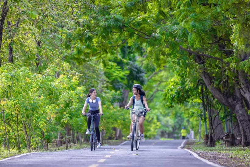 Chiang Mai Bicycle: Into The Lanna Countryside Guided Tour - Choosing between the bikes