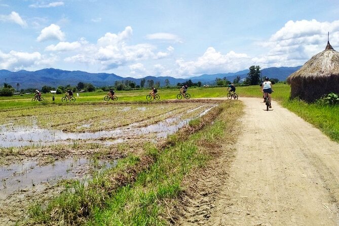 Chiang Mai Biking & River Kayak : Gentle Thrills in a Lush Valley - Guides, support, and equipment make the outing easier