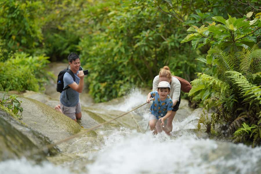 Chiang Mai: Bua Thong Sticky Waterfall & Huge Cave & Buffet - Why the Sticky Waterfall is worth the drive