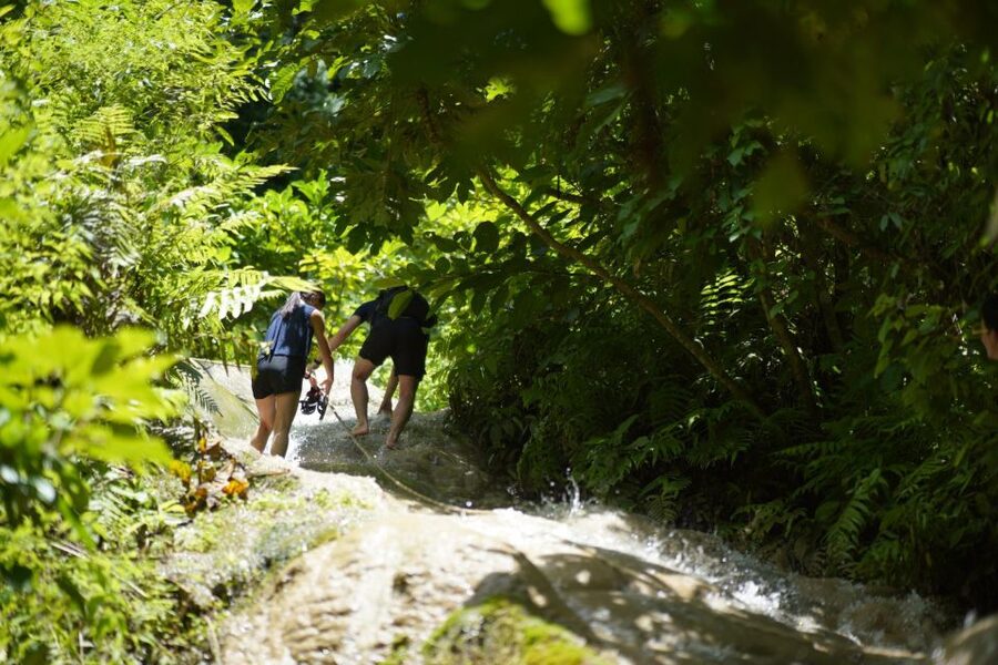 Chiang Mai: Bua Thong Sticky Waterfall & Huge Cave & Buffet - The guides are a major part of the value