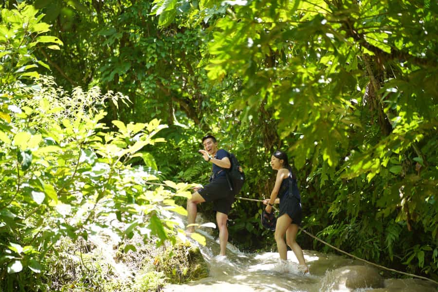 Chiang Mai: Bua Thong Sticky Waterfall & Huge Cave & Buffet - The climb takes balance, not just enthusiasm