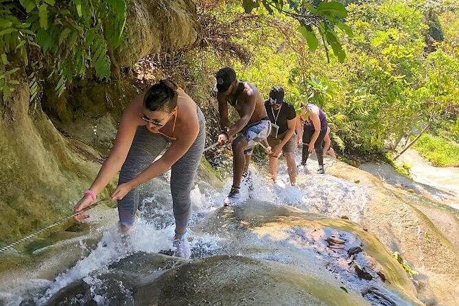 Chiang Mai Chapulin Elephant Care and Sticky Waterfall - Why Chapulin feels different from a standard elephant stop