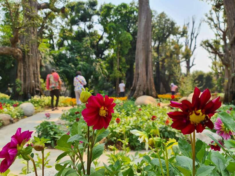 Chiang Mai: Dantewada Land of Angels & Sticky Waterfall Tour - Who will enjoy this half-day trip
