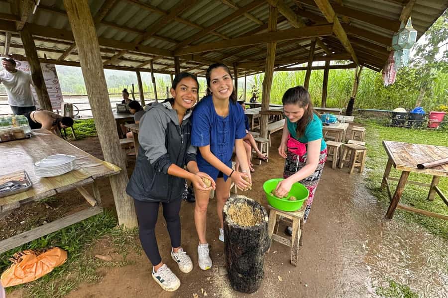 Chiang Mai: Day for Elephant Observation Only Half-day Trip - Why the no-control policy matters