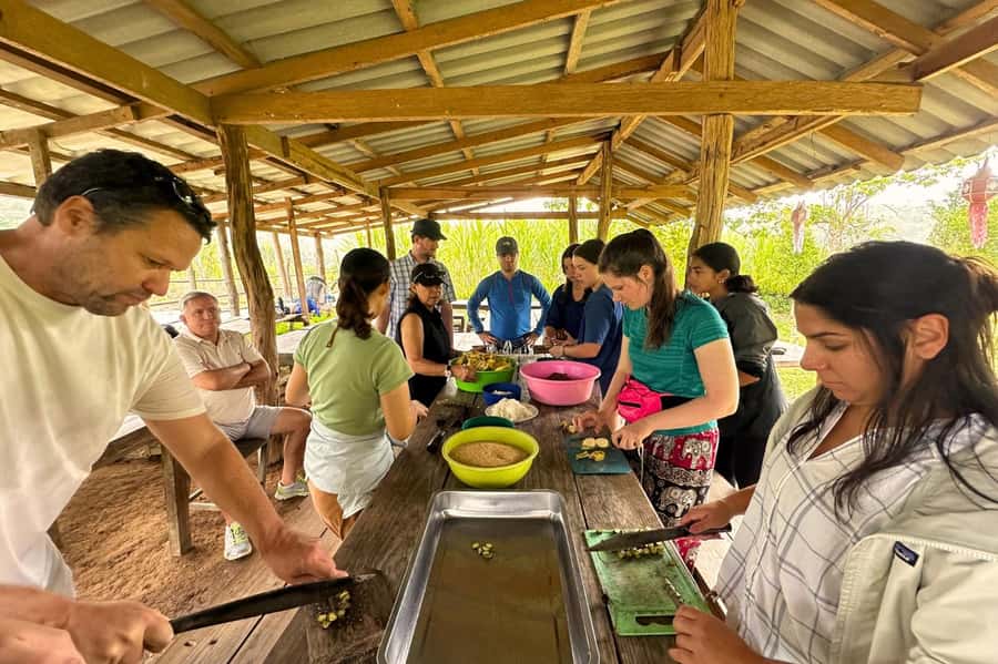 Chiang Mai: Day for Elephant Observation Only Half-day Trip - Meeting guide Su and learning about elephant care