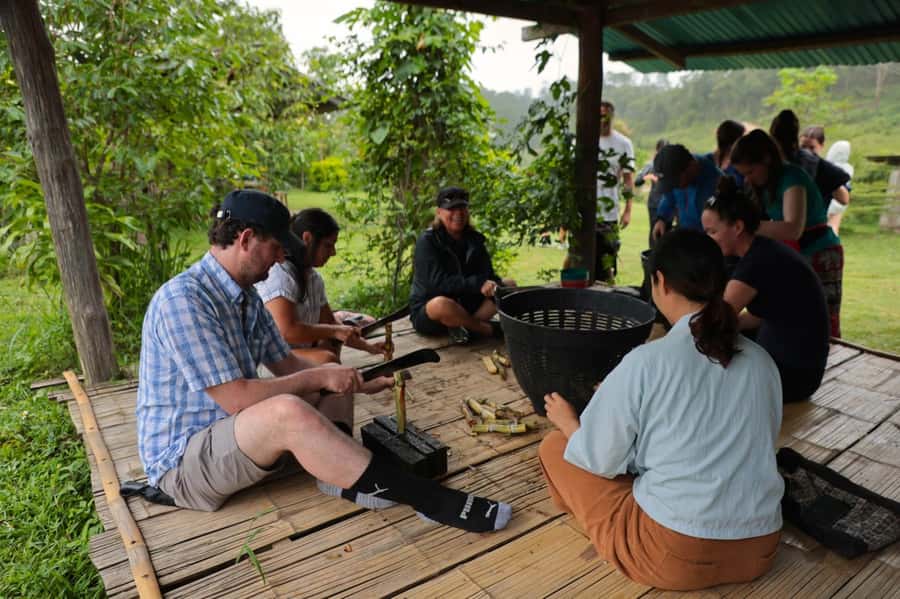 Chiang Mai: Day for Elephant Observation Only Half-day Trip - Preparing natural food and vitamin balls