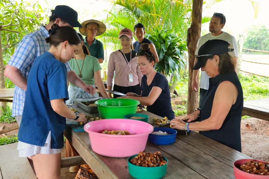 Chiang Mai: Day for Elephant Observation Only Half-day Trip - Making Pad Thai while the elephants roam