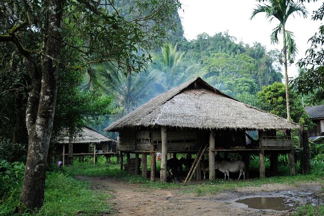 Chiang Mai Day Tour: Chiang Dao Cave and Hill Tribes - Who will enjoy this day most