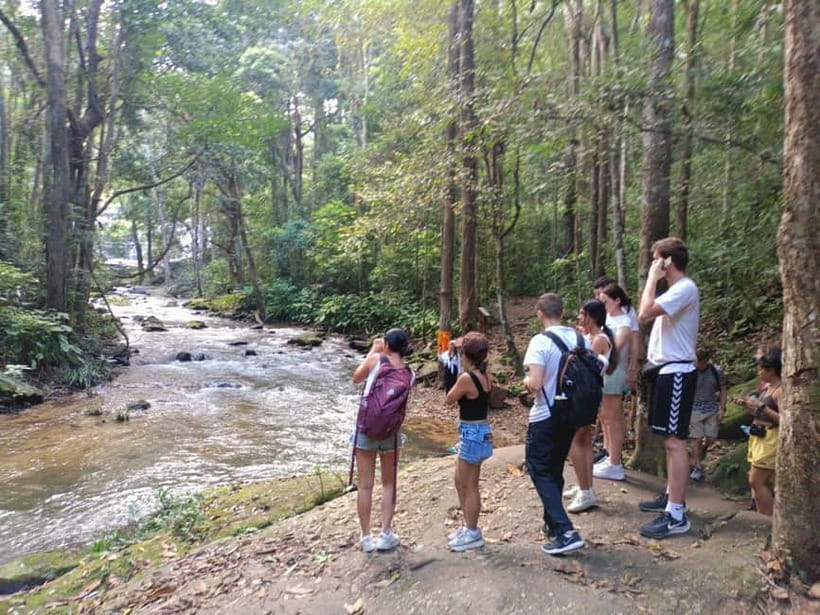 Chiang Mai: Doi Inthanon Hiking & Elephant Sanctuary Program - Guides, group size, and the practical rhythm